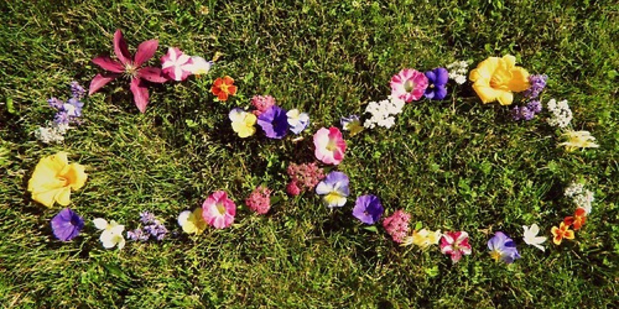 cweed8's profile banner image