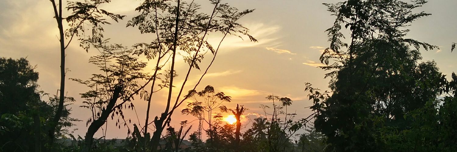 RaFebe's profile banner image
