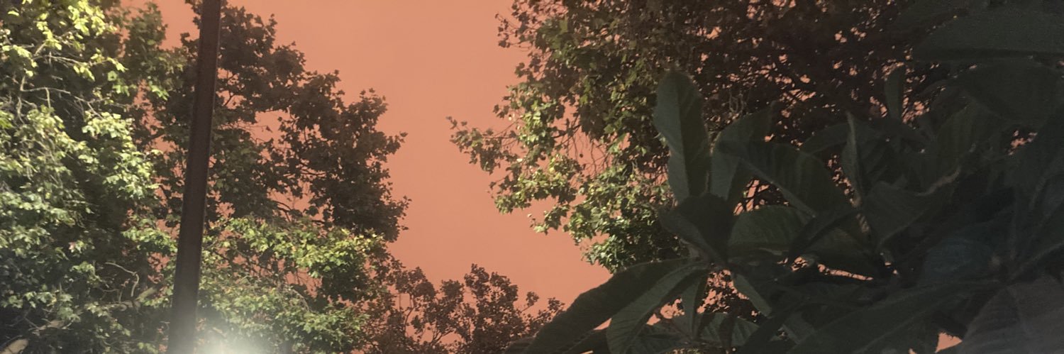 NemiVora's profile banner image