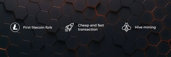 LCCHive Profile Banner