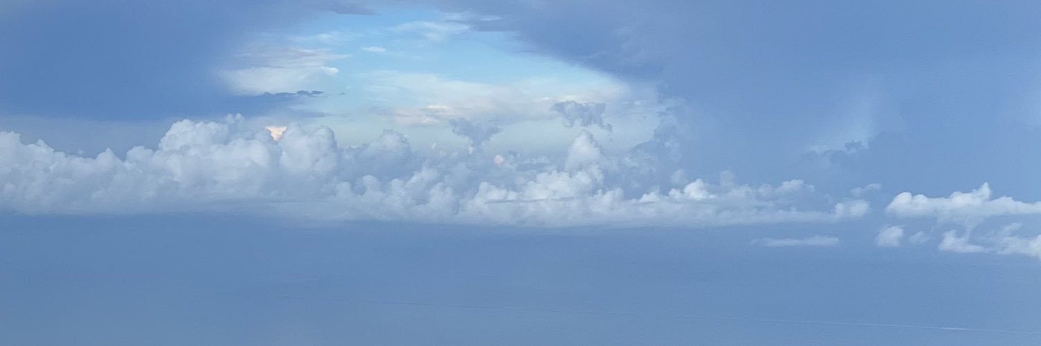 injured son and your ho daughter banner