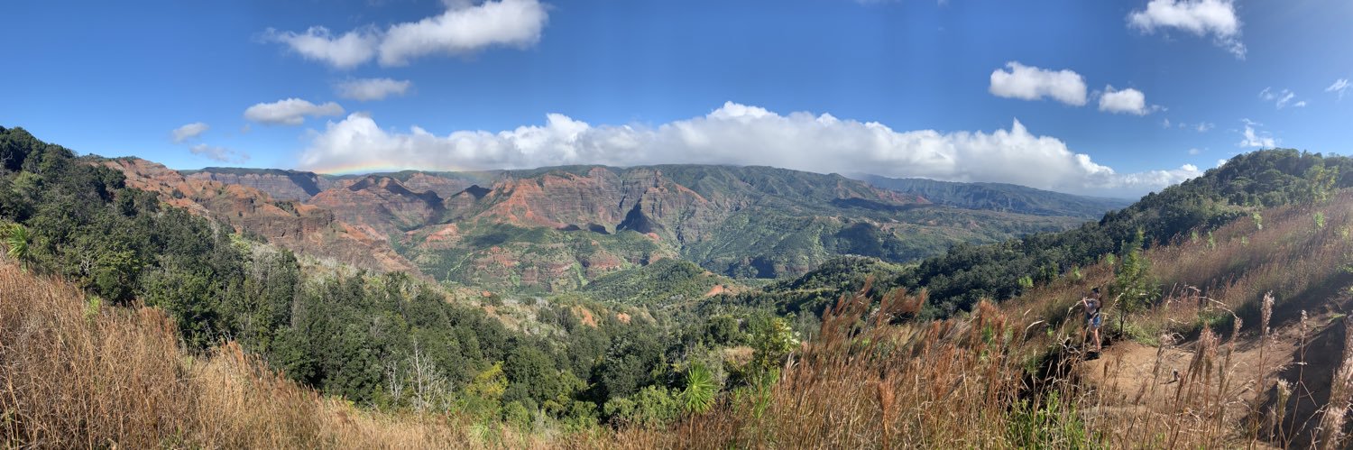 Keep it Loosey Goosey banner