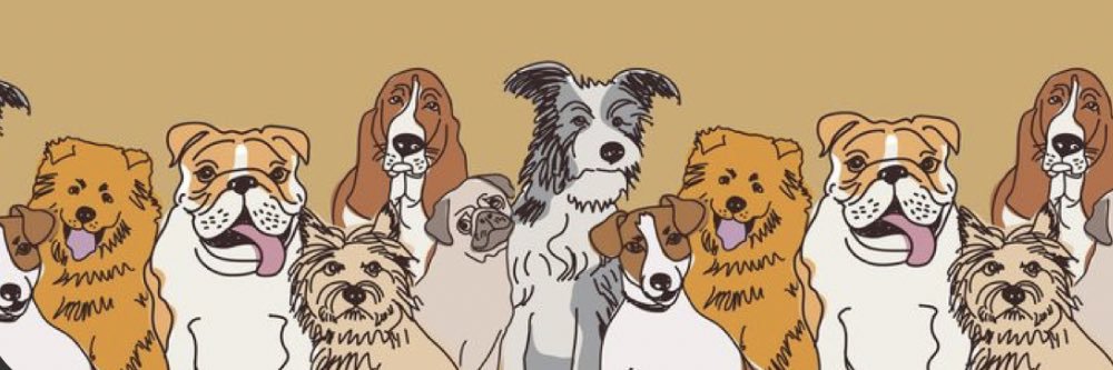madiiilanee's profile banner image