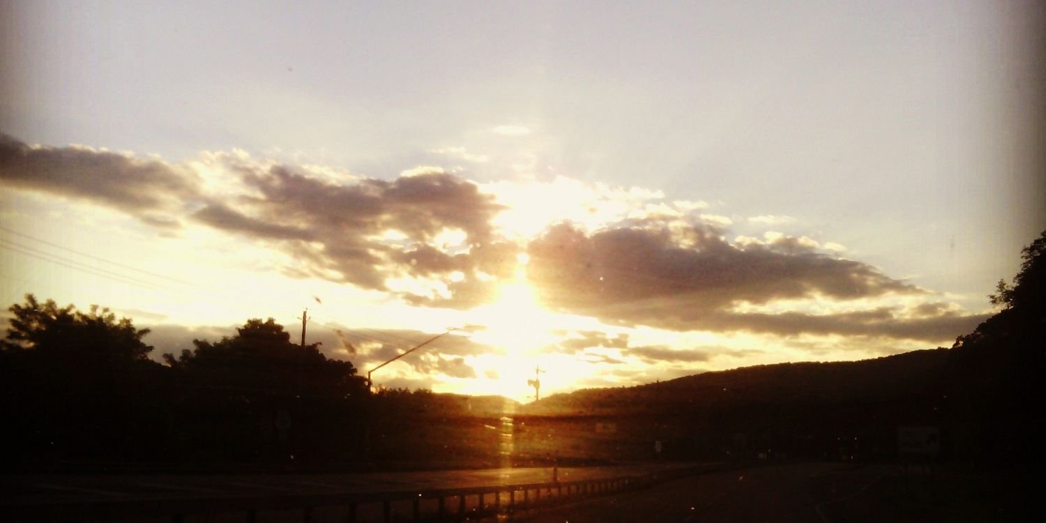alexismlee's profile banner image