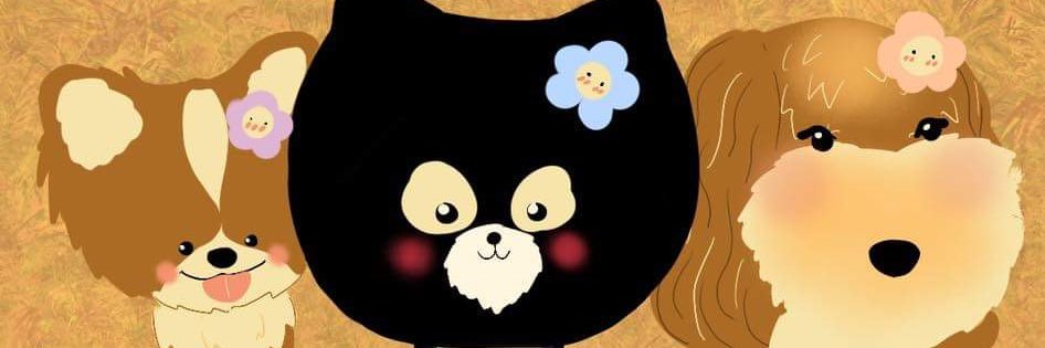sysuchaaaa's profile banner image
