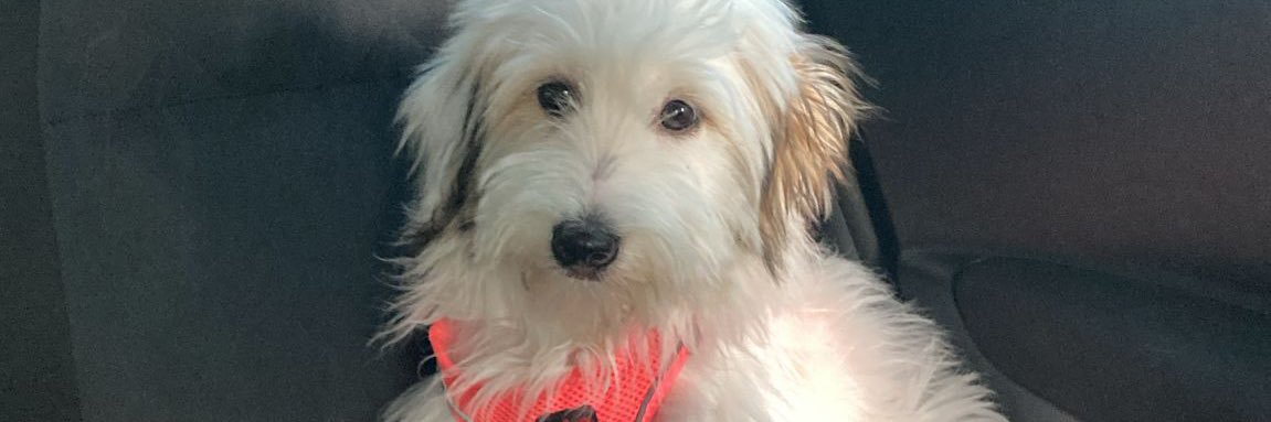 didemmtugba1's profile banner image