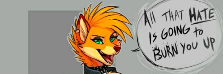 Fire Storm Fox banner