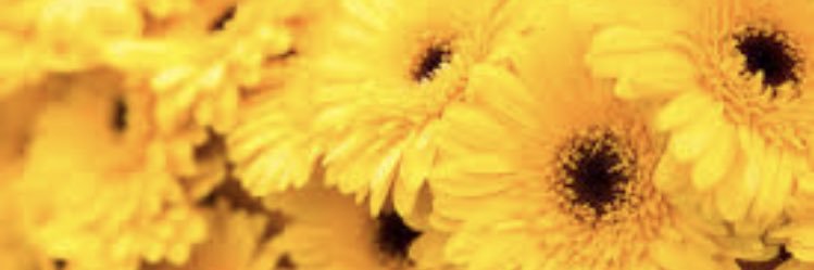 SelfCare_Helper banner