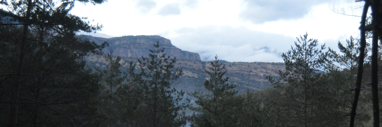 DavePk's profile banner image