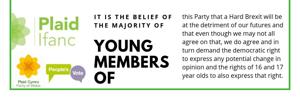 Plaid Cymru People'sVote banner