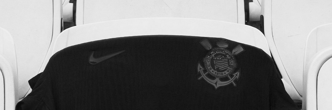 Rocha banner
