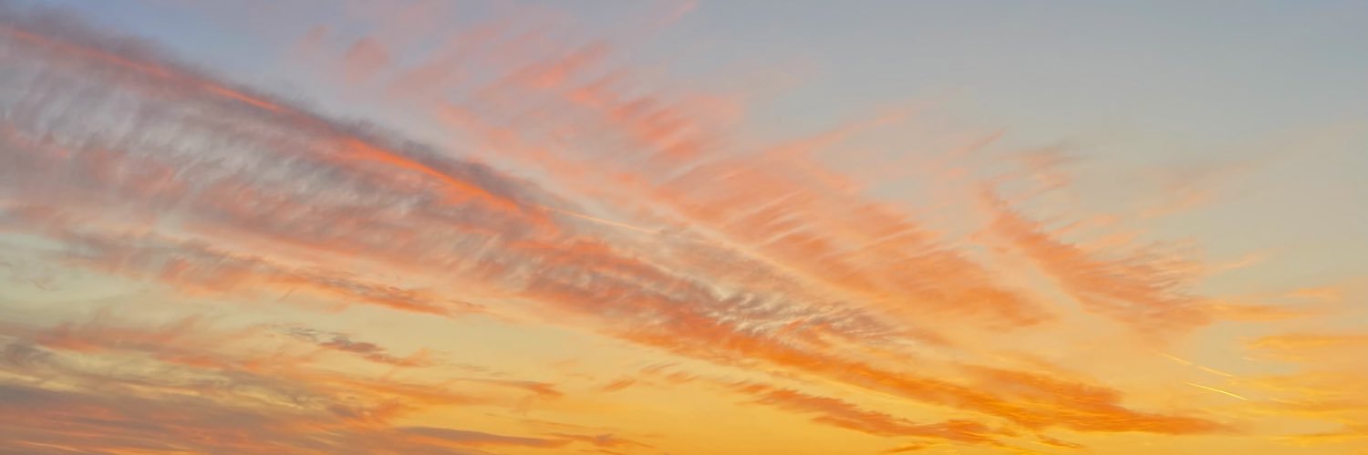 AnnikaKohlman's profile banner image