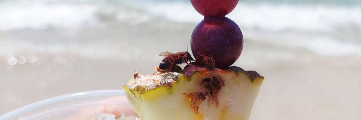 alejandraconx's profile banner image