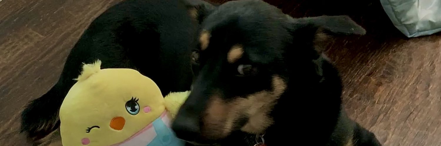 rxbita's profile banner image
