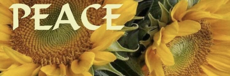 SANDRAMCCOYMILL's profile banner image