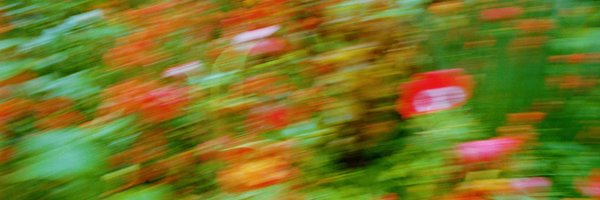 itsmagalig Profile Banner