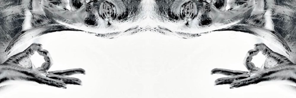 DONOBINLADEN's banner