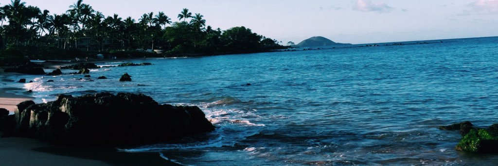 alyssaaabrown's profile banner image