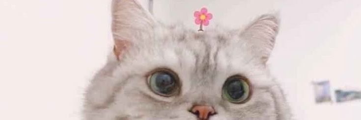 CosmicAngell_'s profile banner image