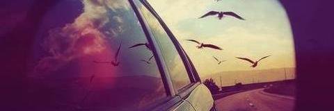 adripxs's profile banner image
