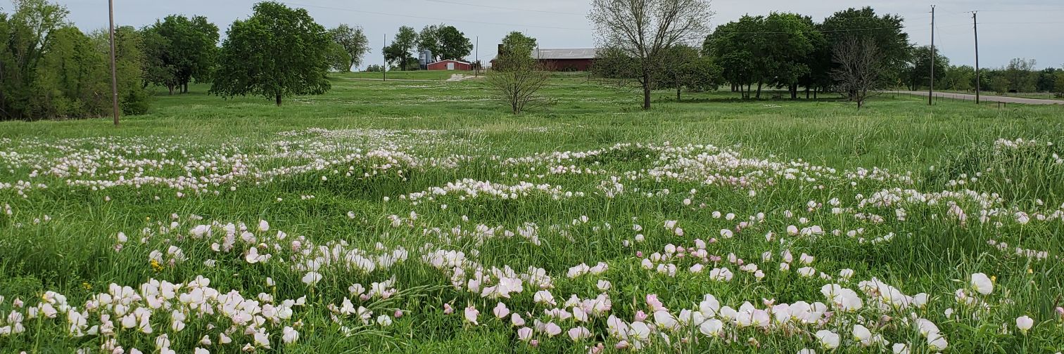 Indian Creek Ranch and Preserve banner
