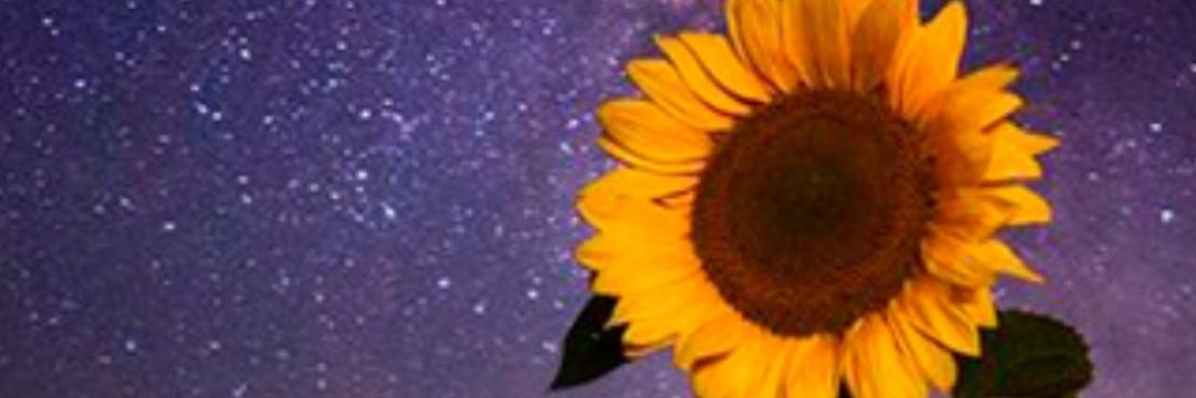 abogadamerchan's profile banner image