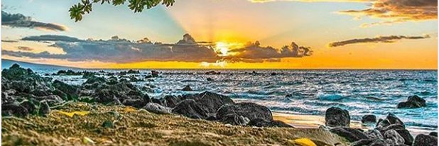 MT5161's profile banner image