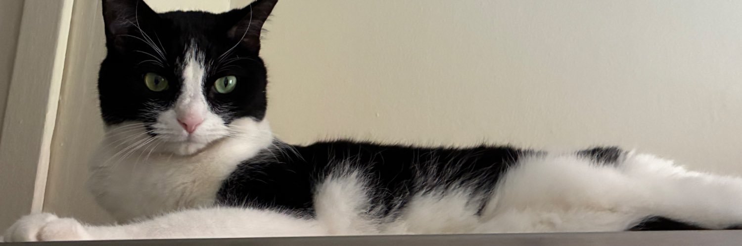 Morena 🙋🏻‍♀️ & Charlotte 😻 banner