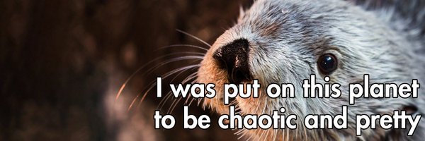 semiSemillon Profile Banner