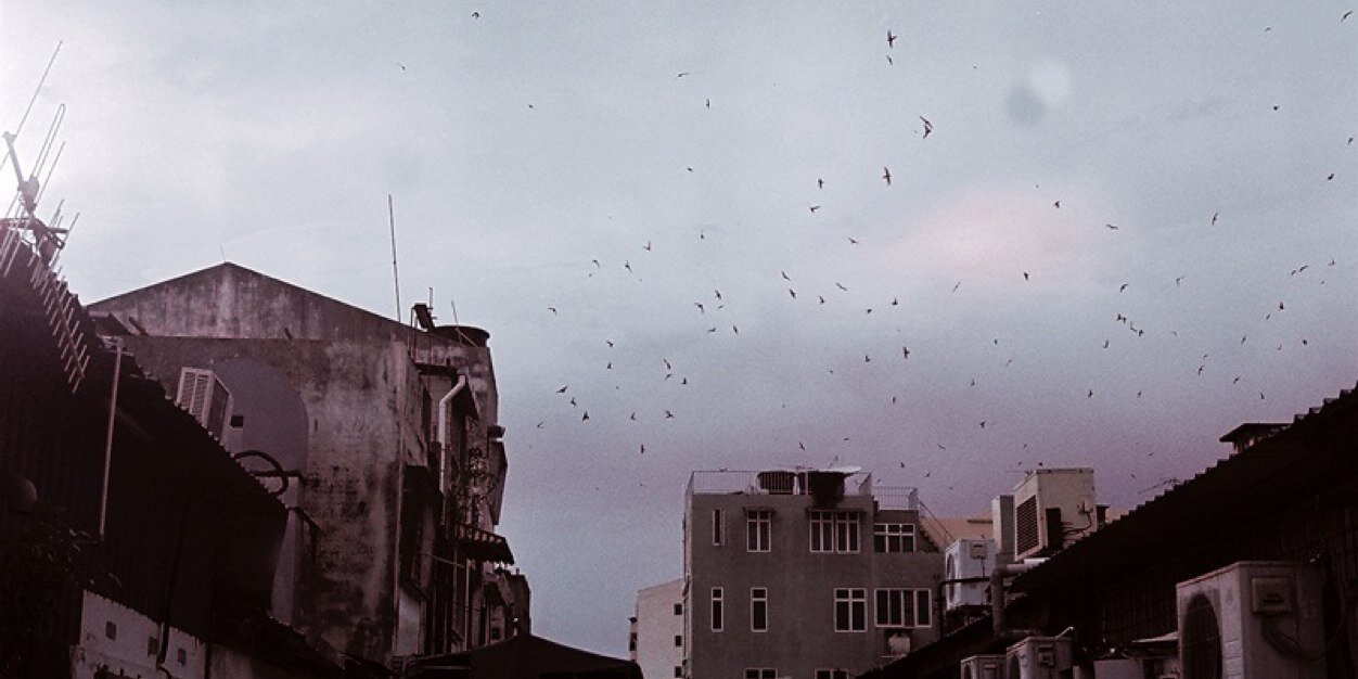hezmeehalim's profile banner image