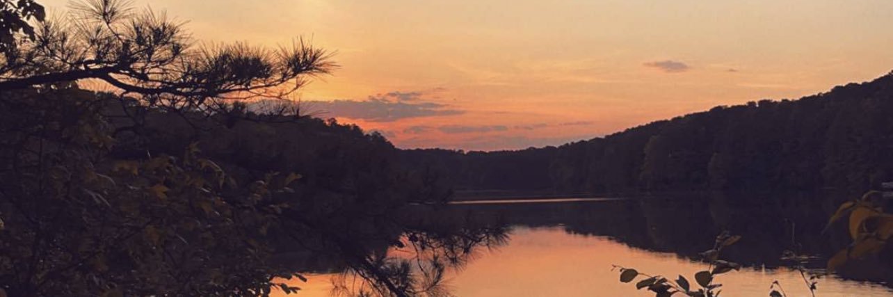 lizziestonee's profile banner image