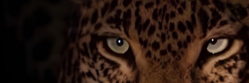 zaee_X's profile banner image