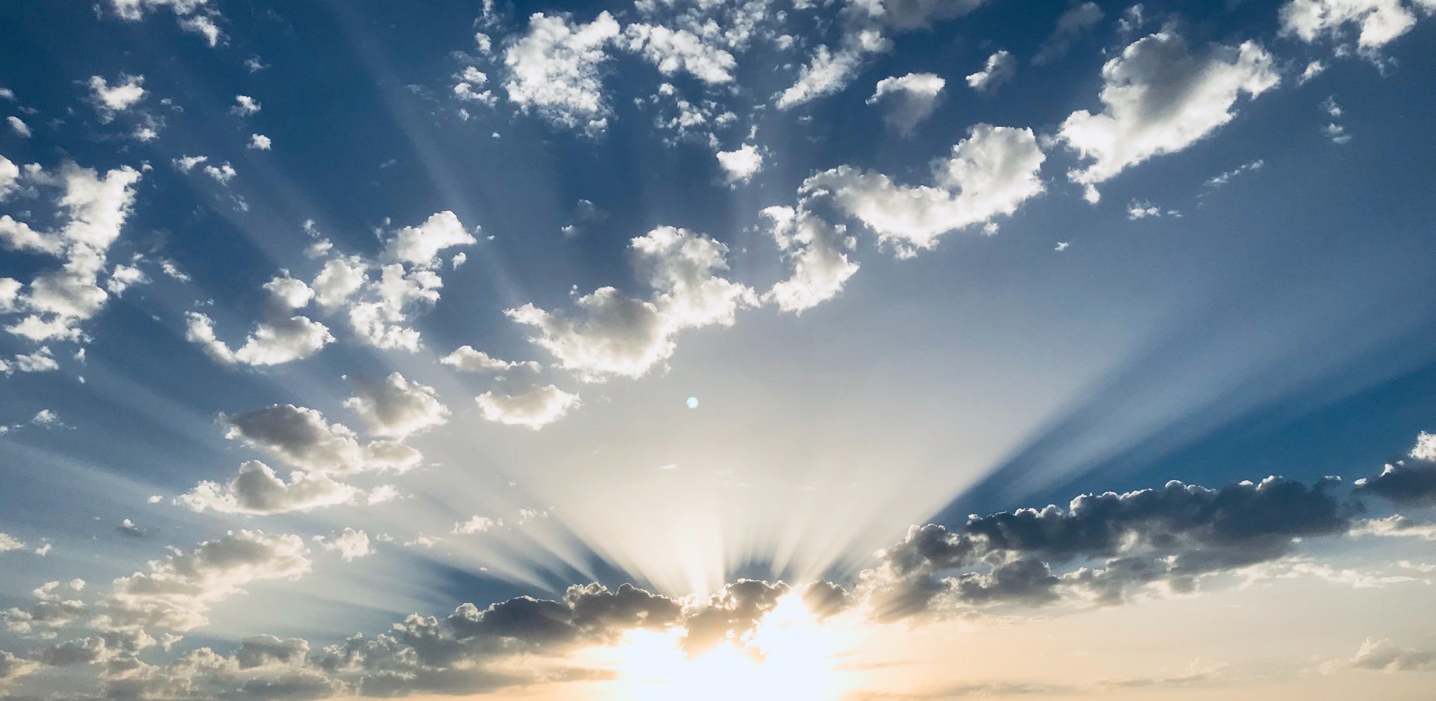 Dr Hein Scheffer banner