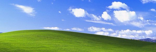 Sp25__ Profile Banner