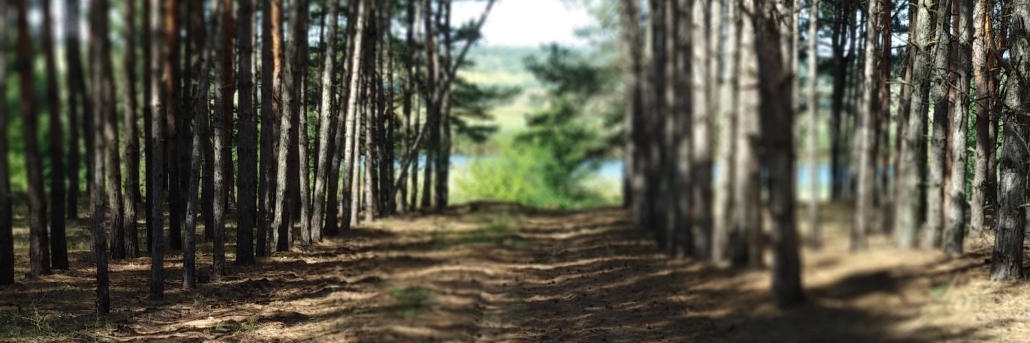 sparrow_anton's profile banner image
