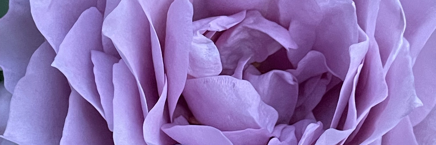 Антон Холодков banner