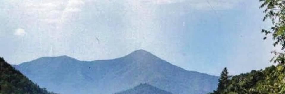 StarrlynSnow's profile banner image