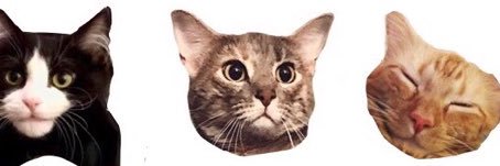 Pittmam_'s profile banner image