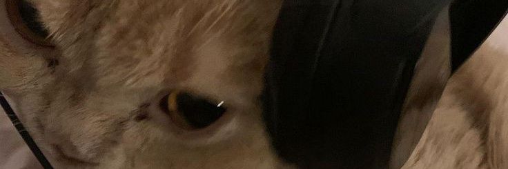 hmmmp banner