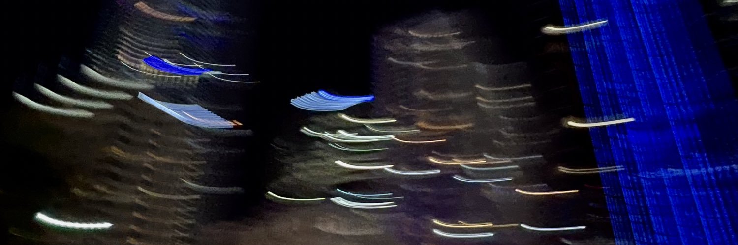 melissacrst's profile banner image