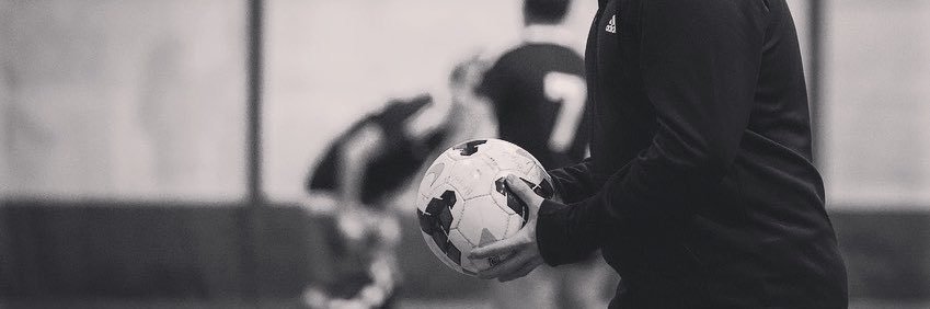 David Brigido banner