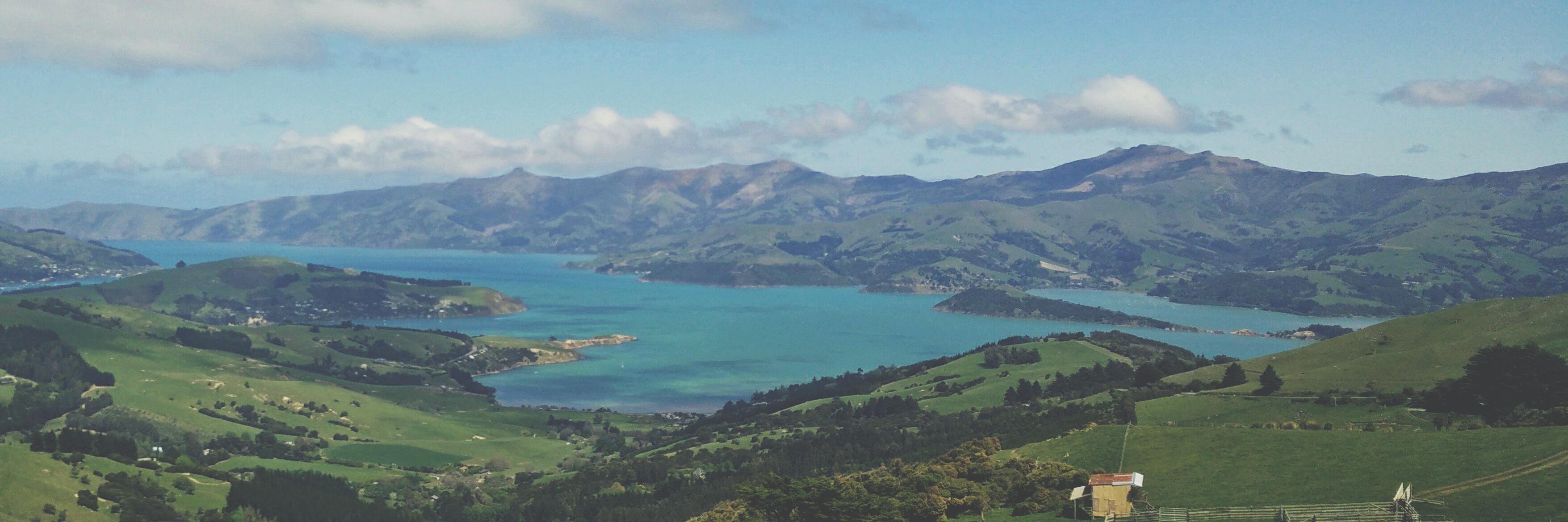 Misha Moroshko banner