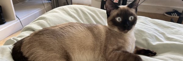 lularobs Profile Banner