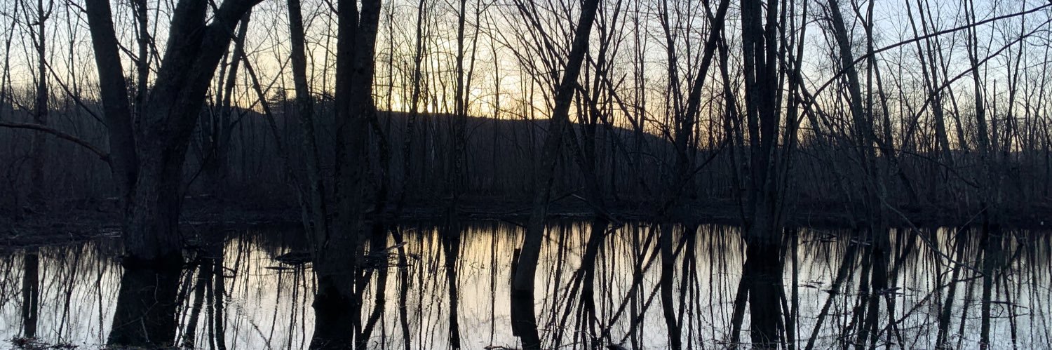 Robin 🏳️‍🌈🔆✡️FREE🇵🇸🇸🇩🇨🇩🇭🇹🇺🇦🇦🇲🇪🇹 banner