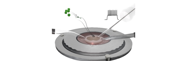 Ottossonlab Profile Banner