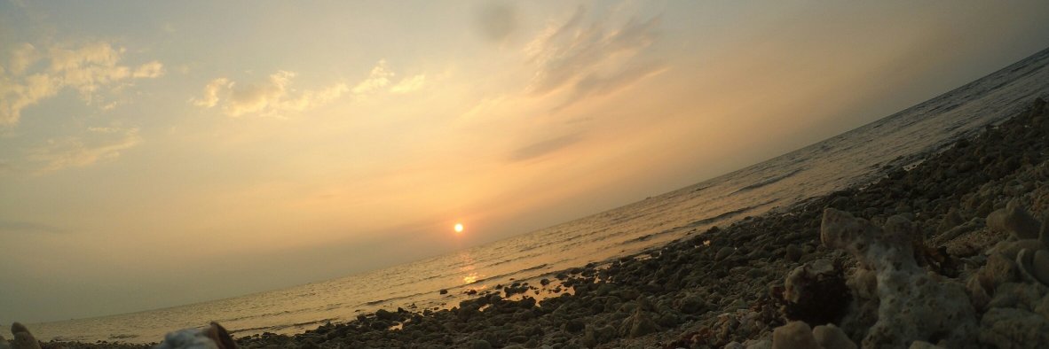 hnny001's profile banner image