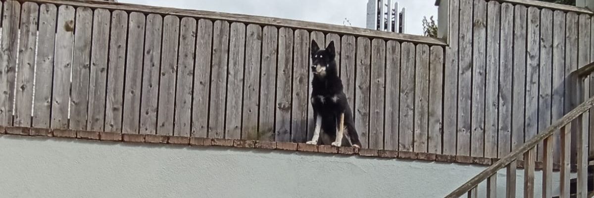 🏳️‍🌈 Mó Pasarán 🏳️‍⚧️ banner