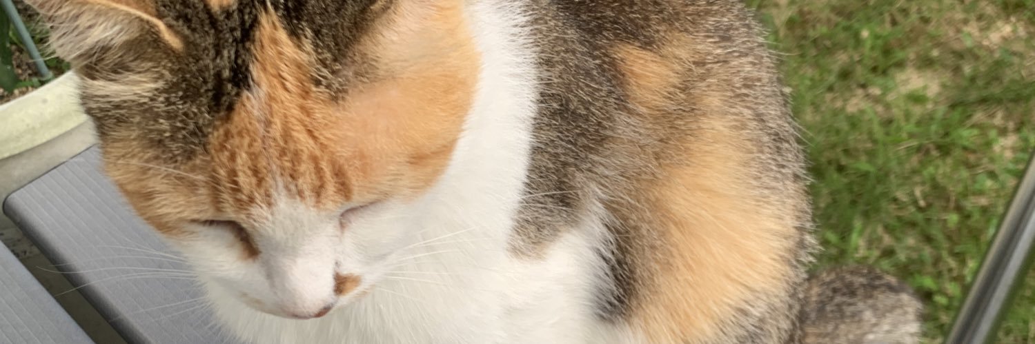 しゃも🍏 banner