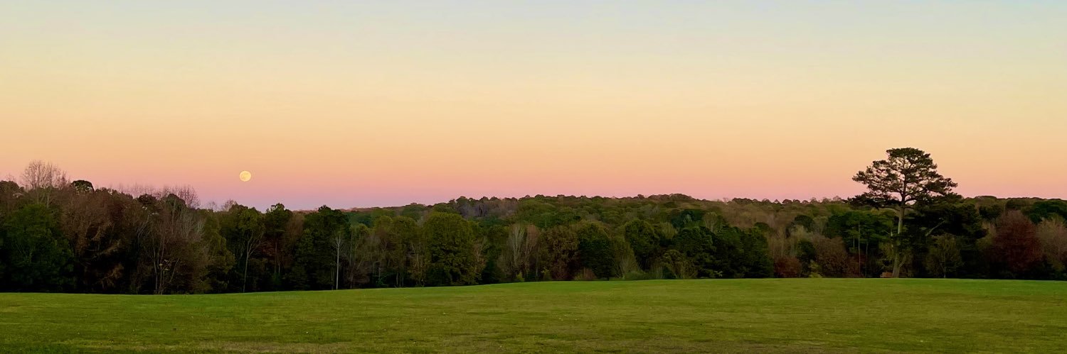 Kylee O'Keefe banner