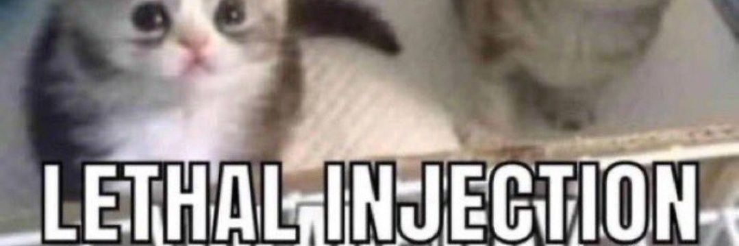 snodingamer banner
